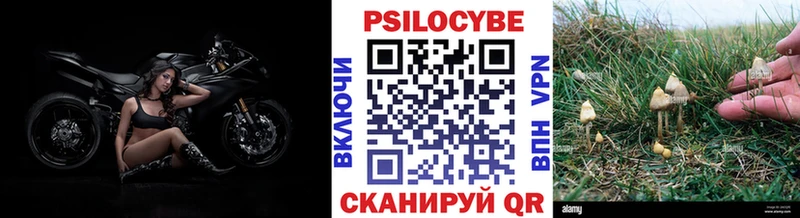 Псилоцибиновые грибы GOLDEN TEACHER  hydra ссылка  Тайга 