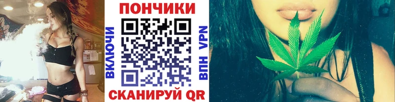 Шишки марихуана ГИДРОПОН  Тайга 